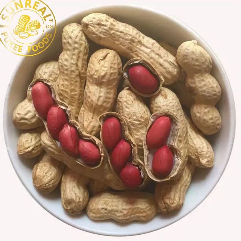 Roasted Red Skin Peanut in Shell/Sunreal/Thin Shell/Easy to Move/Plump Kernel