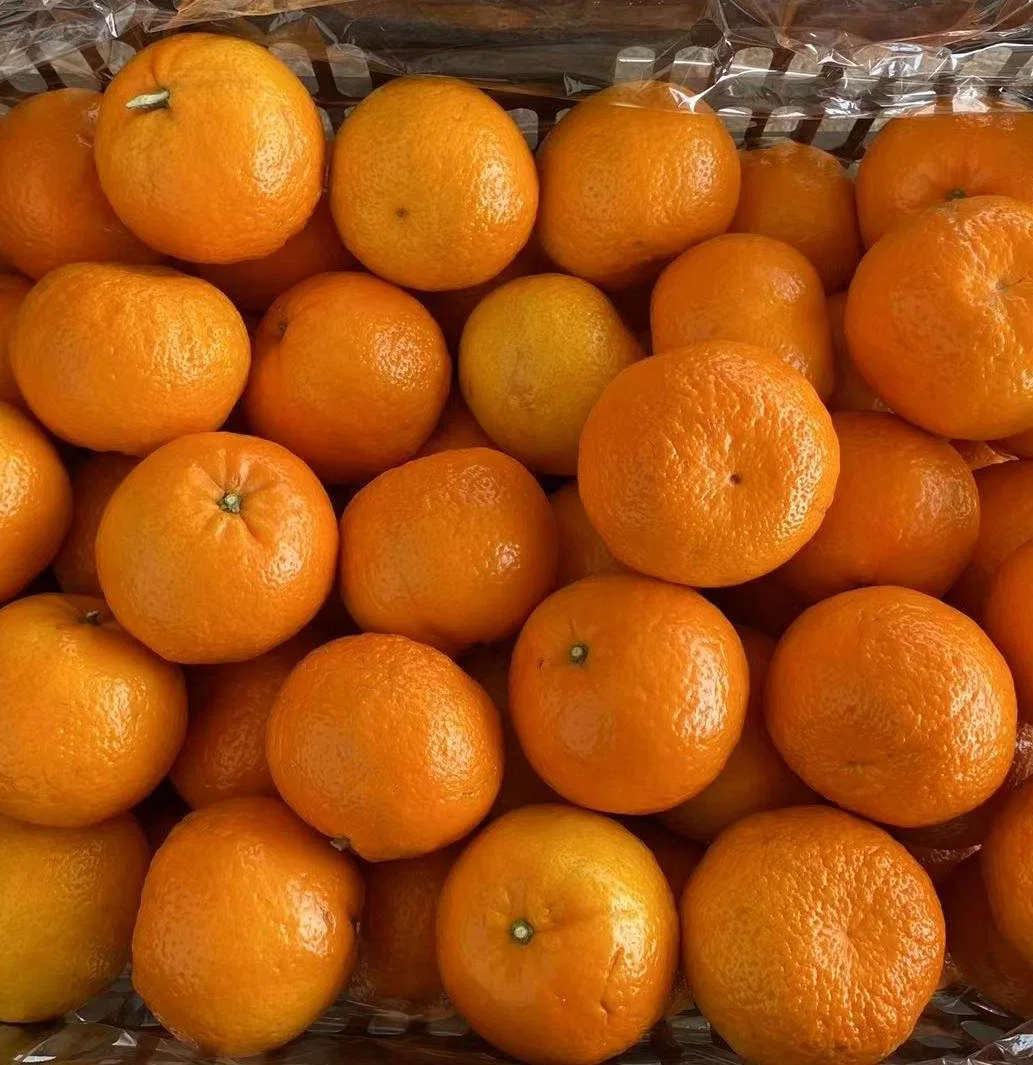 Fresh Mandarin Succulent and High quality/High cost performance Wogan Mandarin From China