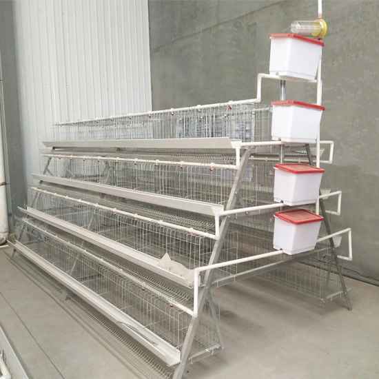 Poultry Farm Equipment A Type Poultry Farm Layer Cages