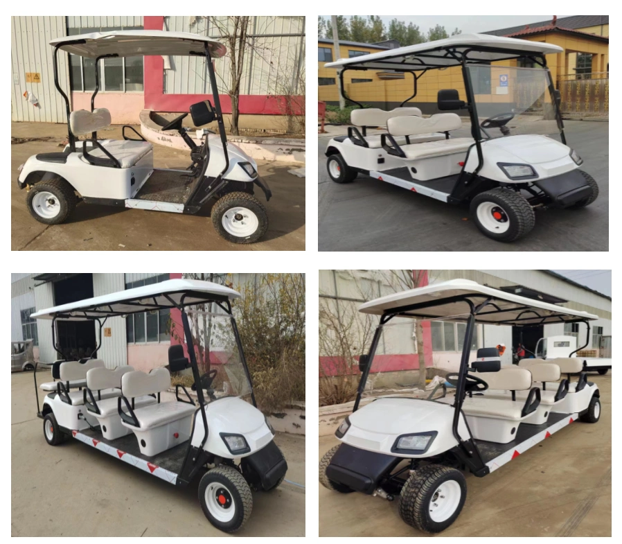 Electric Golf Cart/Buggy/Gas Powered Golf Cart/2seats/4seats/6seats/8seats/10sets/12seats/14seats