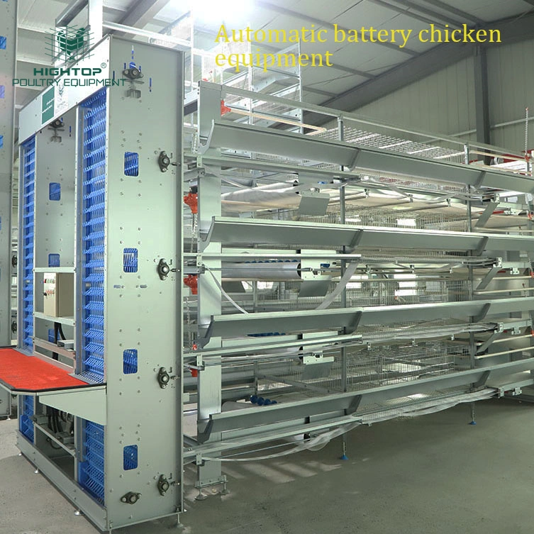 Hot Galvanized Q235 Material H Frame 6 Tiers Automatic Poultry Battery Layer Chicken Cage For Chicken Farms