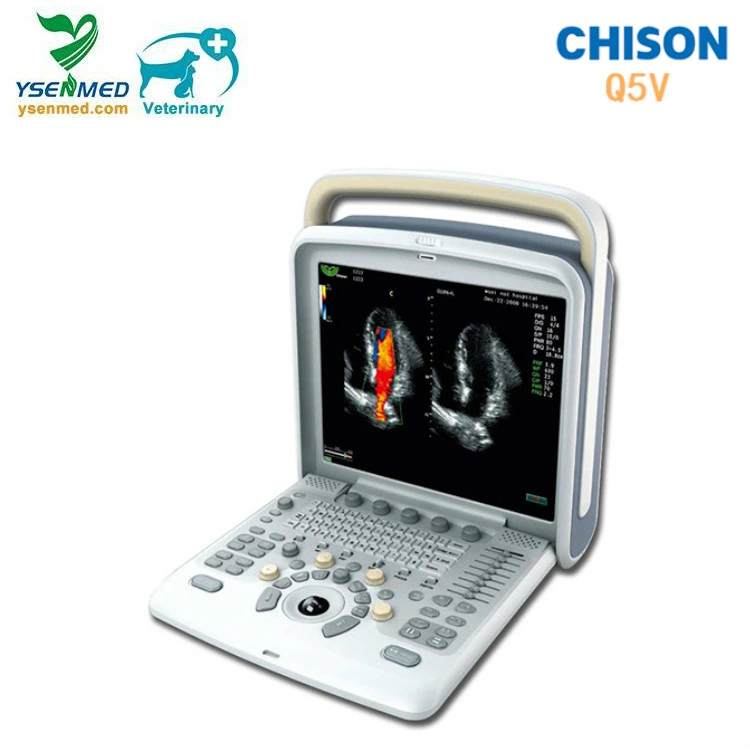 Chison Q5V equipos médicos veterinarios 4D ecografía animal portátil