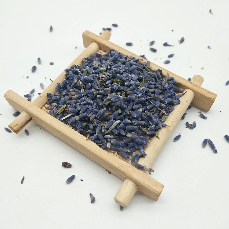 Yi Xun Cao Novo Prémio Flor de ervas secas Chá Gomos de Lavanda