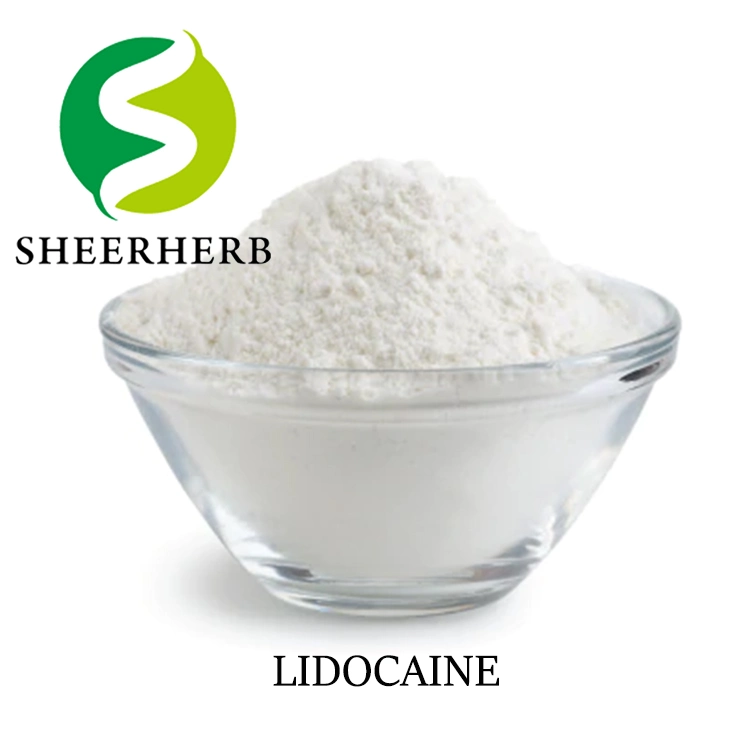 Sheerherb polvo de lidocaína al mejor precio al por mayor de 99% lidocaína CAS 137-58-6