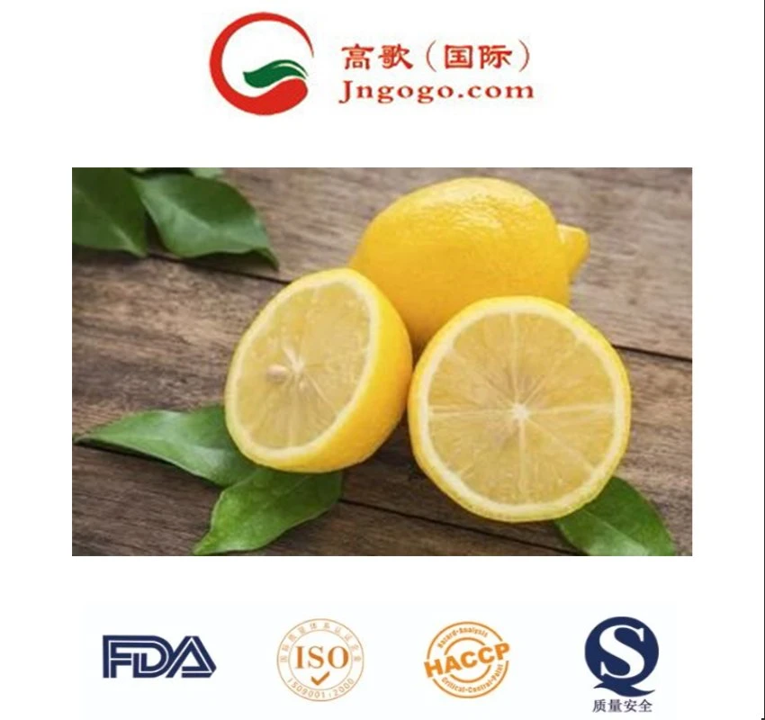 Fresh Citrus Fruit Lemon High quality/High cost performance  for Sale