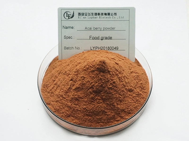 Wholesale/Supplier Freeze Dry Acai Berry Powder Acai Berry Extract