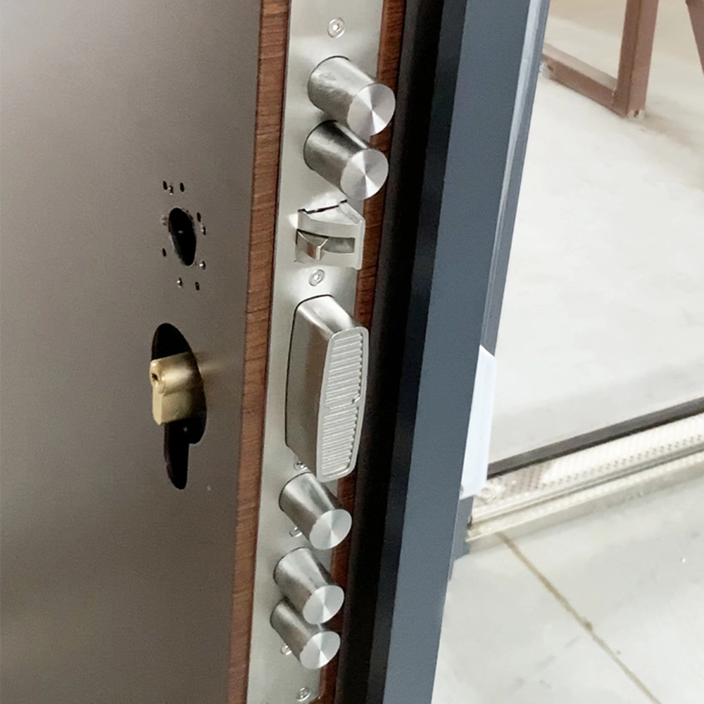 La conception de porte en acier avec le châssis de portes d'entrée