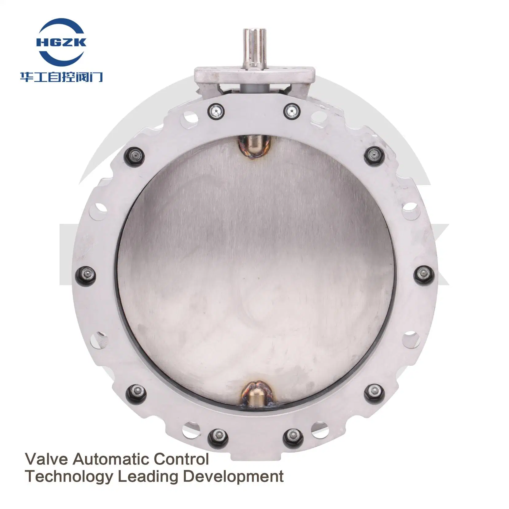 Vfs Single Flange Double Flange Stainless Steel Butterfly Valve