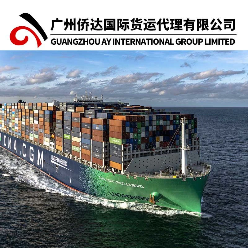 Relaiable Shipping Service From China to Senegal with Shenzhen Freight Forwarder