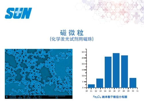 Hydrophobic Magnetic Beads for Diagnostic Reagents Chemiluminescence Immunoassay (carboxyl group)