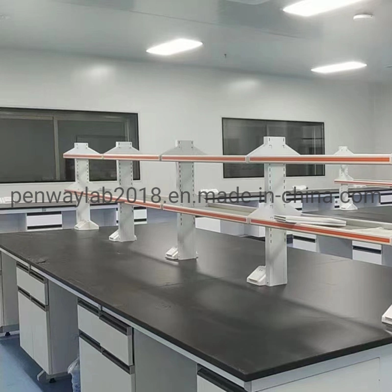 Educational Lab Products School Lab Bench Lab Furniture