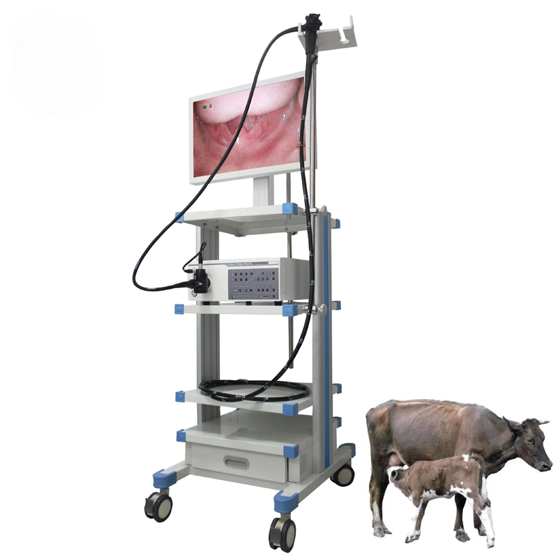 Tragbare Medizinische Ent-Diagnose Flexible Endoskopie Video Veterinary Gastroscope Endoscope Maschine für Pferdekuh