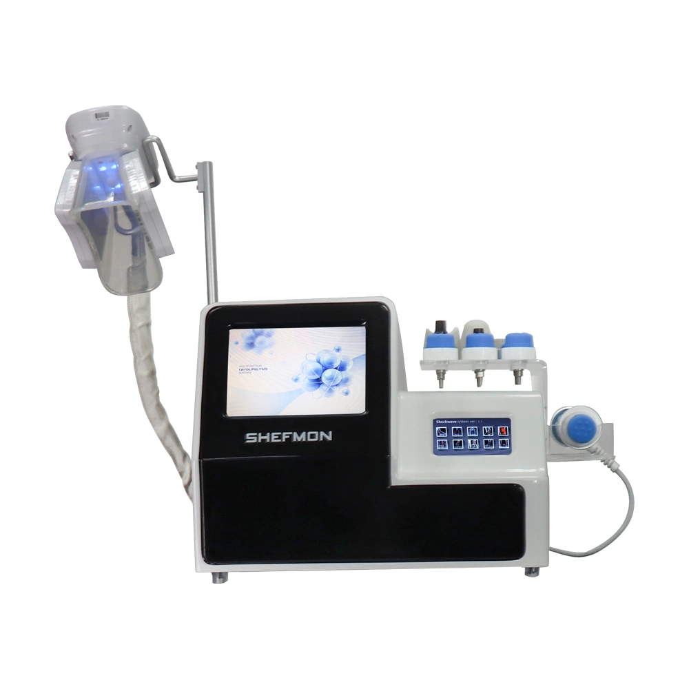 Новые идеи 2023 Professional Cryolipolysis машины ED обращения Shockwave терапии акустические волны производителя для полового члена