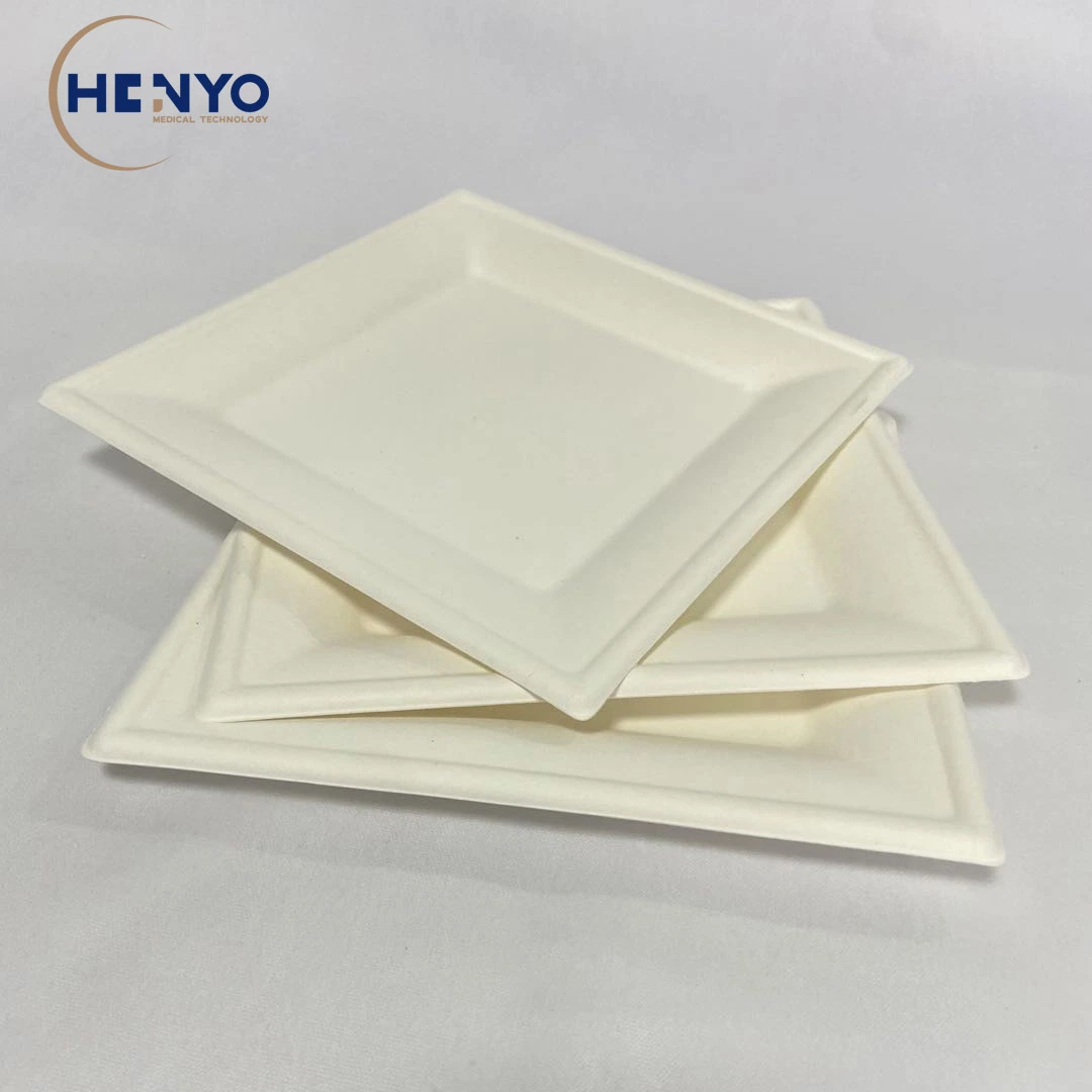 8-Inch Disposable Food Tray Eco-Friendly Biodegradable Square Food Tray