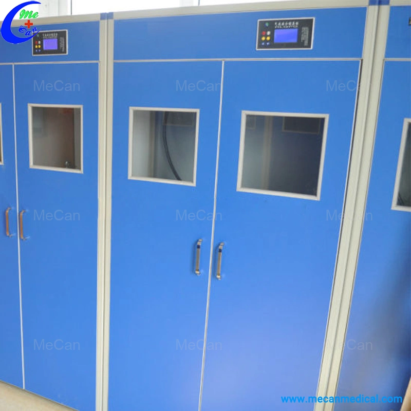 Lab Gas Cylinder Cabinets High Cabinet for Laboratory