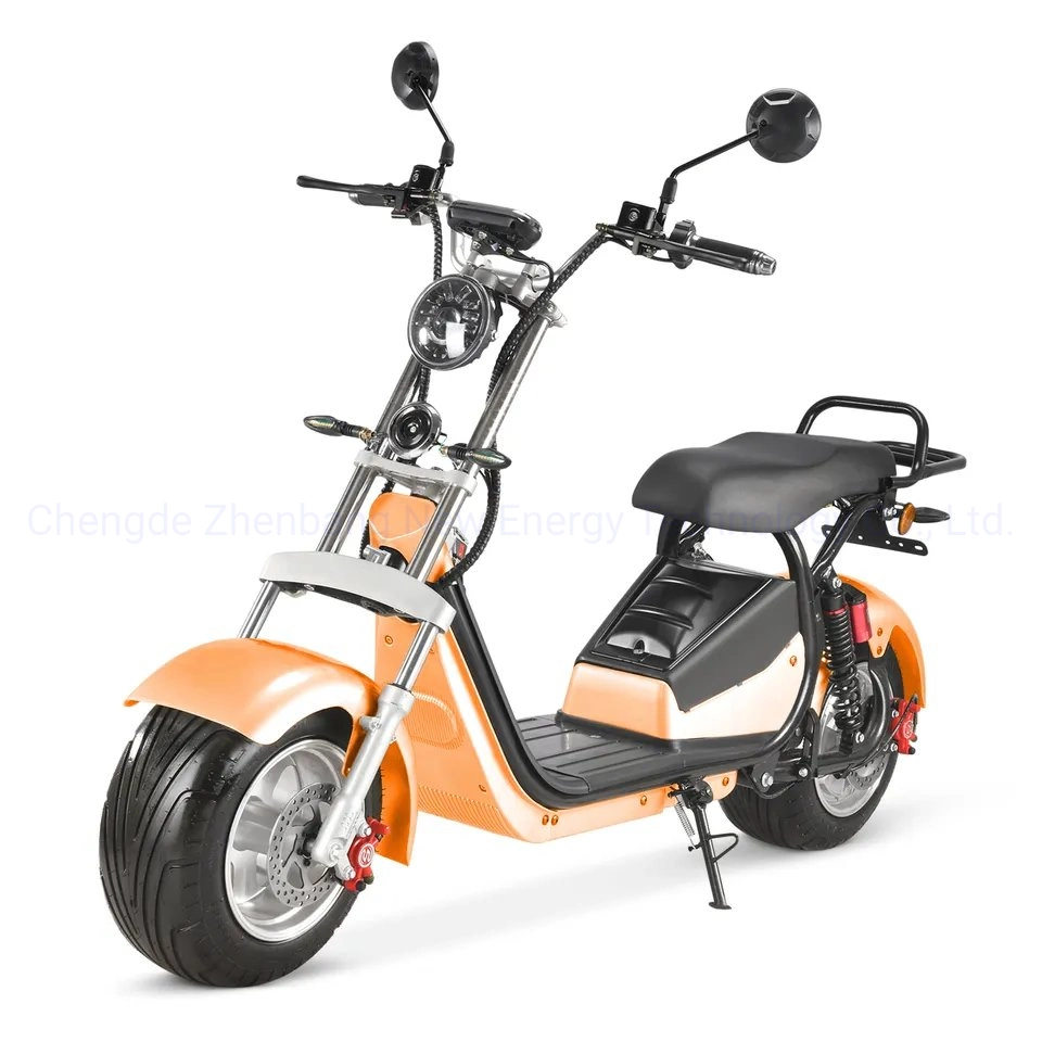 Two Wheels Adult Electric Scooter with Seat 60V 1500W Sport Scrooser Citycoco with Optional GPS