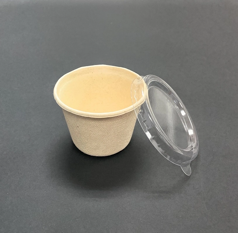 Sorvete Copos Compostável copos de cana-de-4oz biodegradável chávena quente bagaço de cana
