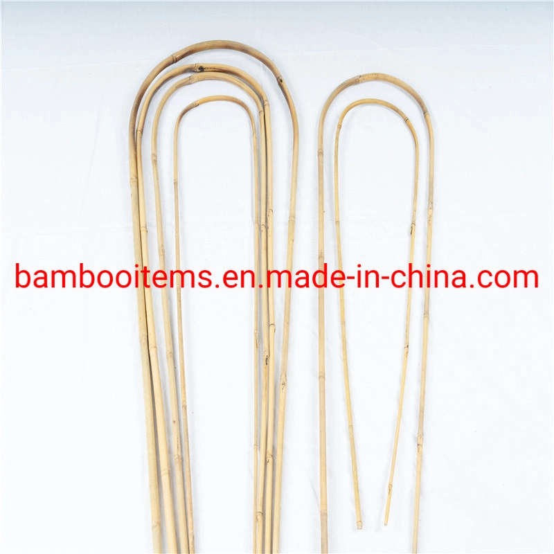 U Shaped Bamboo Cane /Natural Bamboo U Hoop