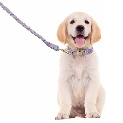 Braided Dog Rope Collar Customized Soft Cotton Leash Set Metal Buckle