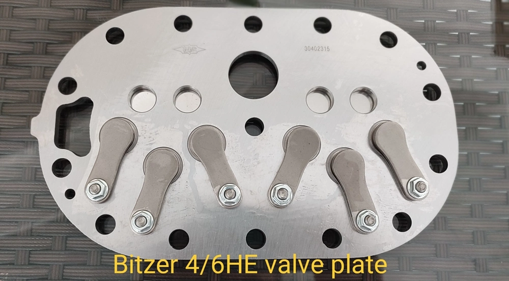 Compresor de Bitzer 4/6HE conjunto de placa de válvula 70mm (30402315)