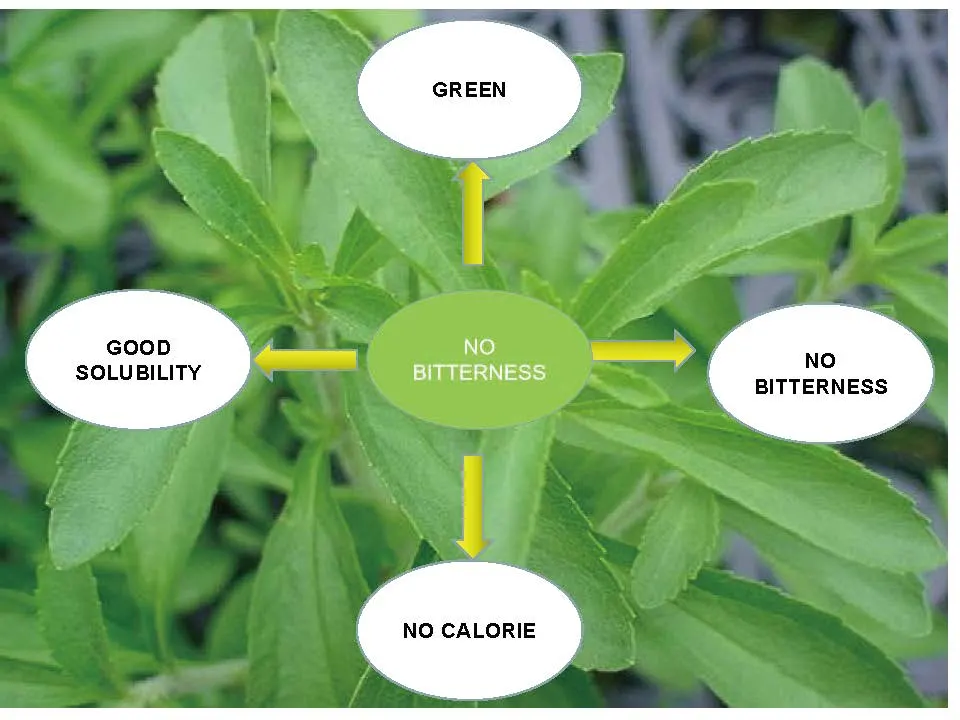 Flavoring Agent Desktop Sugar Plant Sweetener Stevia Stevioside Ra98