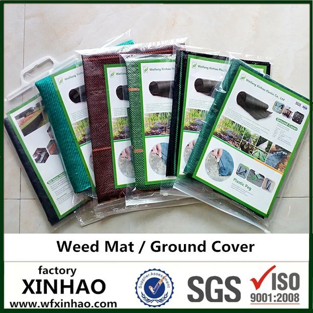 Eco Friendly Camping Ground Cover Garden Mat Outdoor Plastic Sheet From Manufacturer