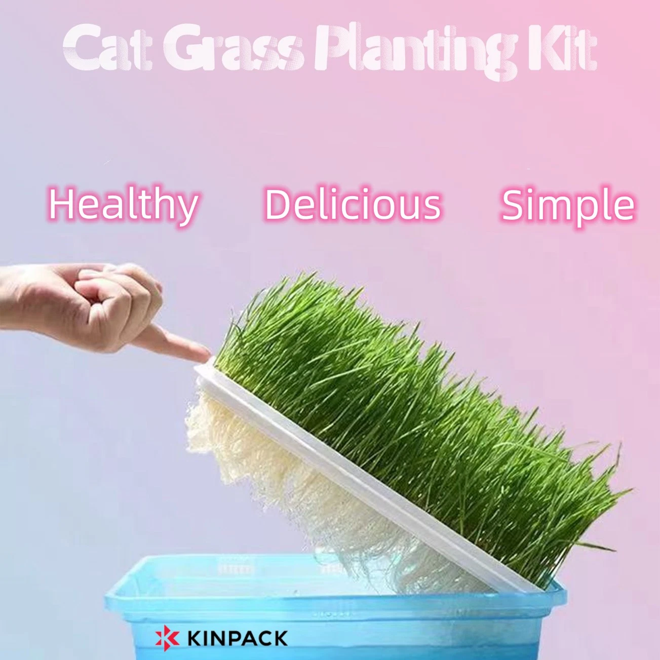 Kinpack Seed Sprout Tray Wheat Grass catnipp Riscnip Box Pet حاوية زراعة العشب من Cat منتجات الحيوانات الأليفة الحديثة