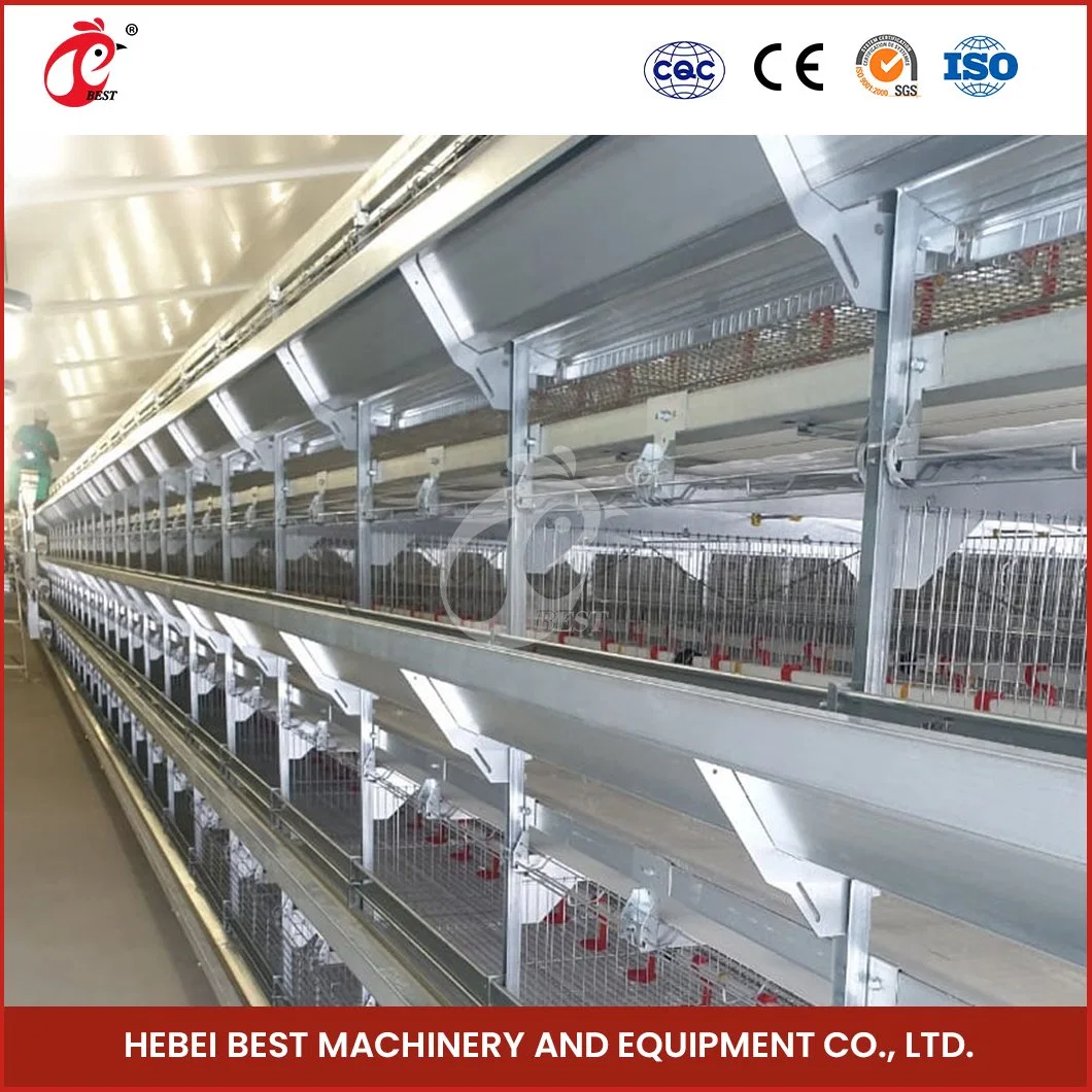 Bestchickencage H Frame Broiler Cages China Chiken Coop Factory Long Service Life Chicken Coop for Meat Birds