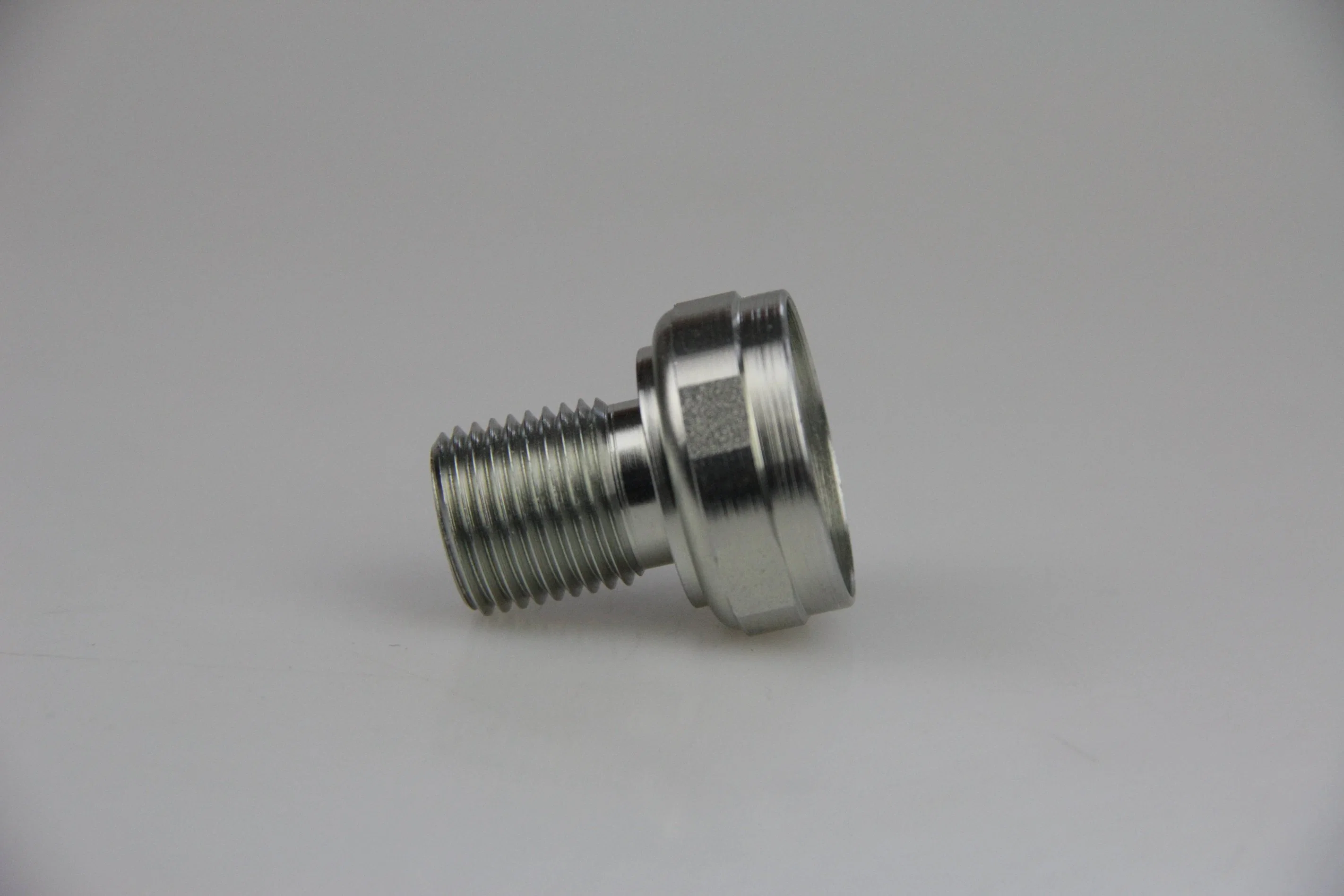 ANSI/BS/JIS/Customized Stainless Steel Hexagon Socket Head Cap Screw for Faucet/Roofing/Machine