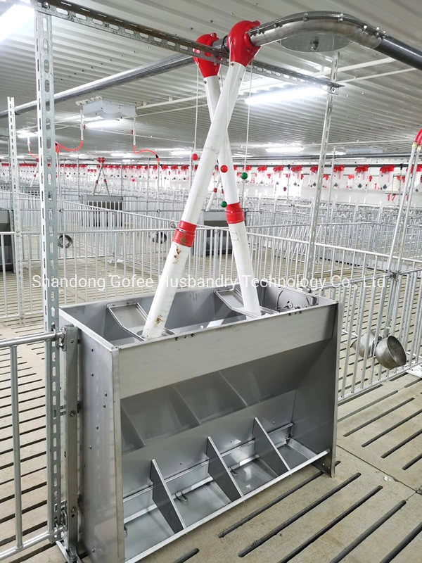 Pig Farm Equipment Unilateral or Bilaterial Stainless Steel Pig Feeder for Fattening or Nursery Pig