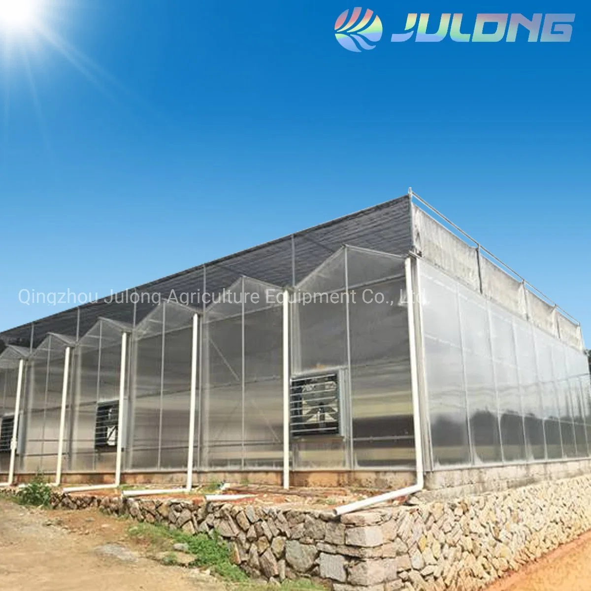 Professional Venlo Type Steel Pipe Commercial Agriculture Greenhouse with Cooling System
