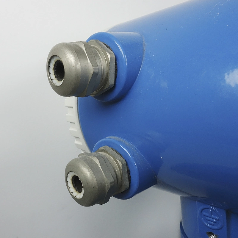 Dn25 Pulse and 4-20mA Output PTFE Lining SS316L Electrode Remote Type IP68 Flow Meter Water Flow Meter