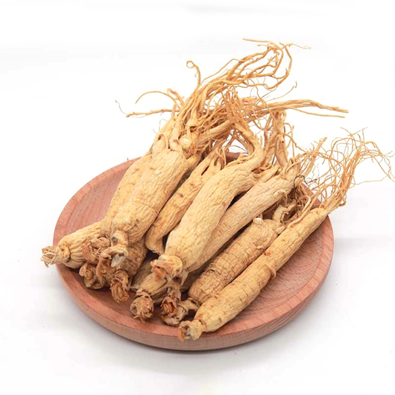 High Grade Fresh American Ginseng Panax Ginseng Korean Red Ginseng Root