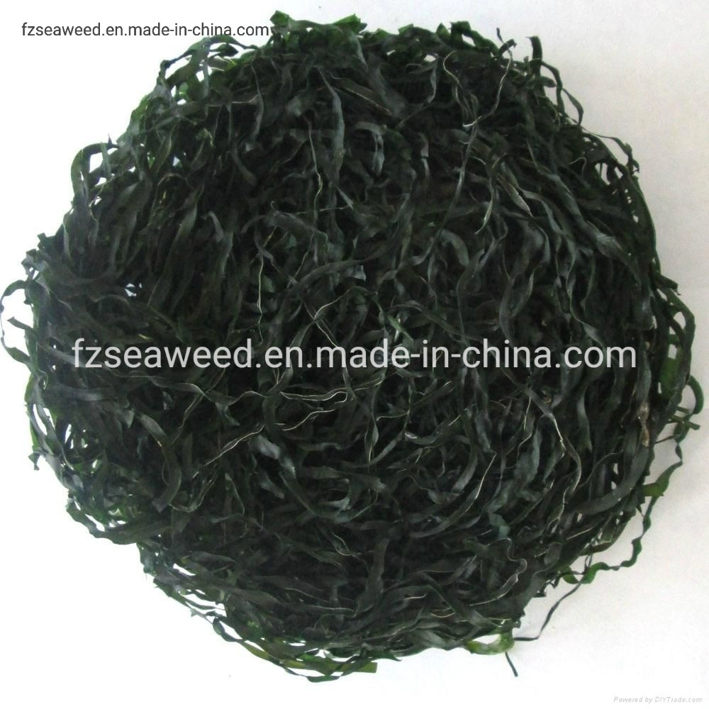 Natural Seaweed Contains Iodine, Sea Algae Cut Sun Laminaria Japonica