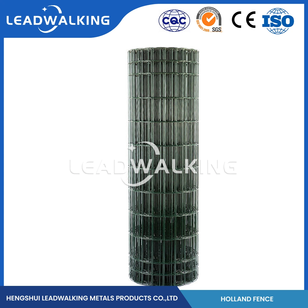 Leadwalking Galvanised Weld Mesh Rolls Factory Wholesale/Supplier Welded Wire Mesh with Plastic Coating for Animal Cage China 30X30mm PVC Coated Holland Welded Wire Mesh