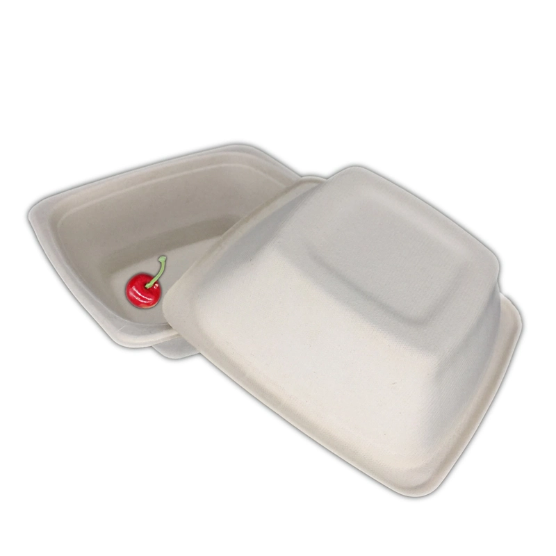 Biologisch abbaubare Lebensmittelverpackung Bagasse 250ml Square Box, Zuckerrohr Dinner Box