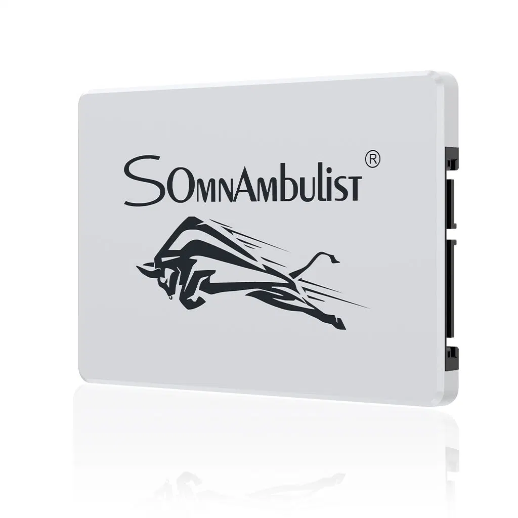 Somnambulist Gjs08 2.5" SATA 3 Internal Solid State Drive 120GB 60g 240GB 480GB 2tb 960GB SSD