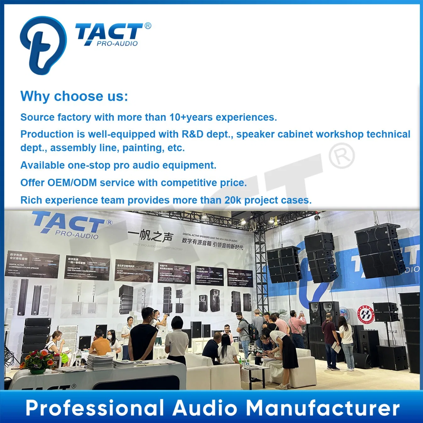 Tact Professional Audio Cox265b Double 6.5 Inch Line Array Speaker System