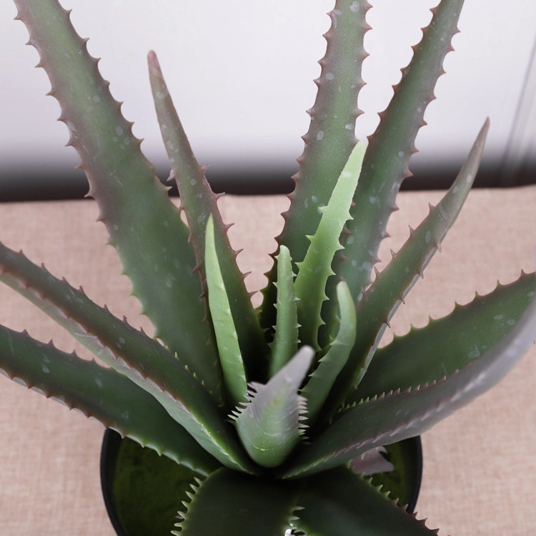 Plant Plastic Aloe with Pot for Family Decoration Greenery Aloe Bonsai