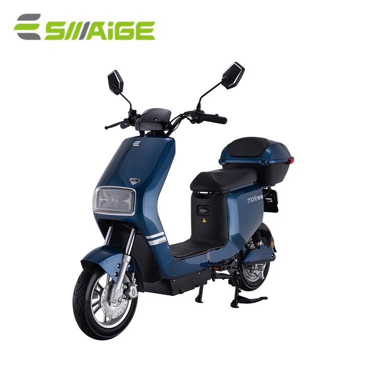 Hot Sale Cheap High Quality Fashionable Motor Brushless Mobility 800W 2 Wheel Mini Electric Motorcycle
