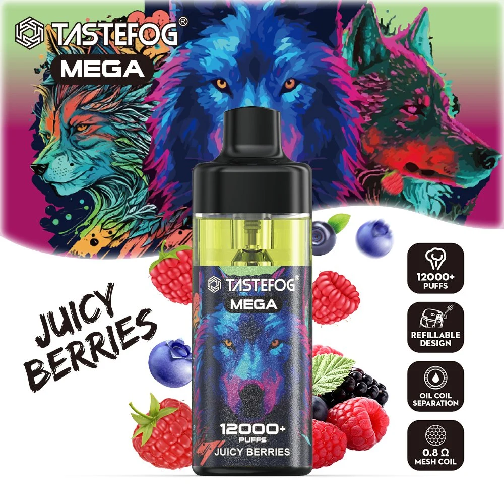 vape-Starter-Kits 12000 Puff Tastefog Mega mit RGB-Taschenlampe Nachfüllbarer Pod