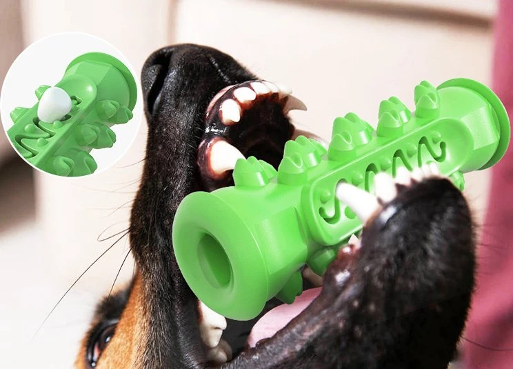Высококачественные игрушки для собак ПЭТ Продукт для поддержания здоровья зубов Зеленый цвет