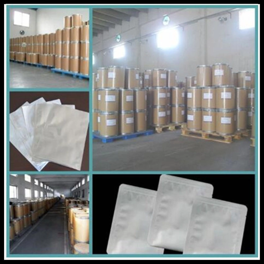 Raw Material Carbomer 940 / Carbopol 940 Powder CAS 9007-20-9 for Chemical Auxiliary Agents