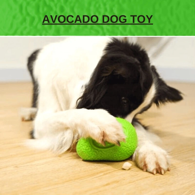 Les aliments pour chiens à bille en silicone pour animaux de compagnie de distribution de l'avocado chien Jouet Jouet durables de fruits