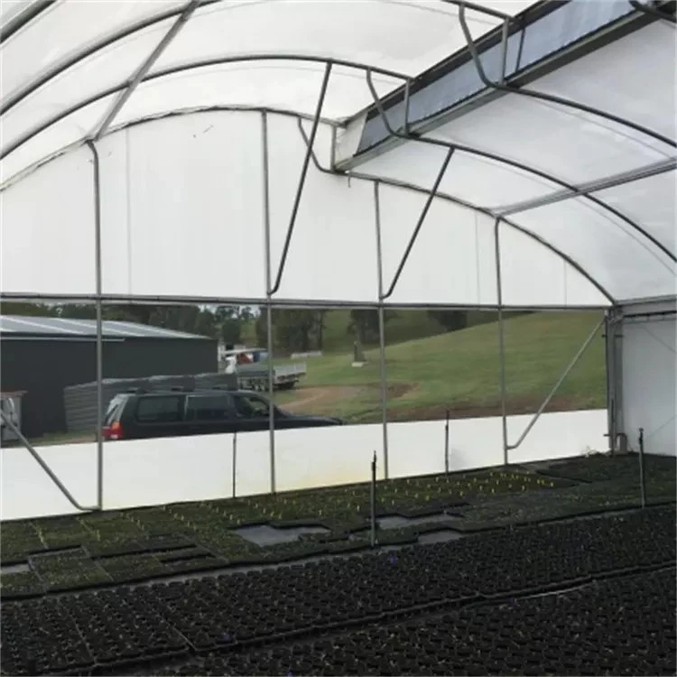 Customized Size Commercial Plastic Aeroponics System Po Hydroponic Systems Plant Film Greenhouse