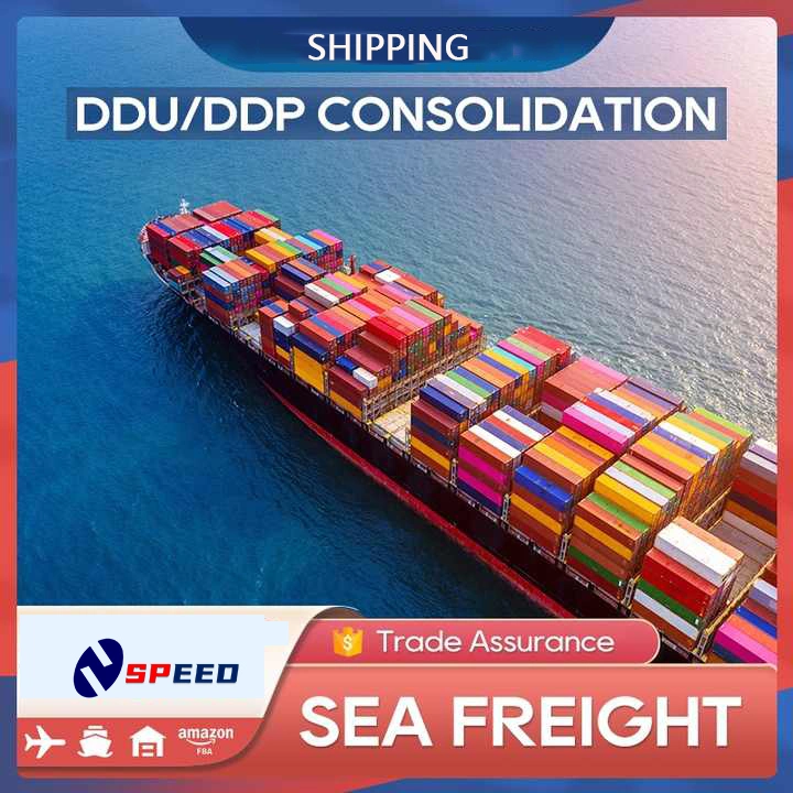 Shenzhen Air Sea Freight Forwarder Shipping DDU DDP Service China to America