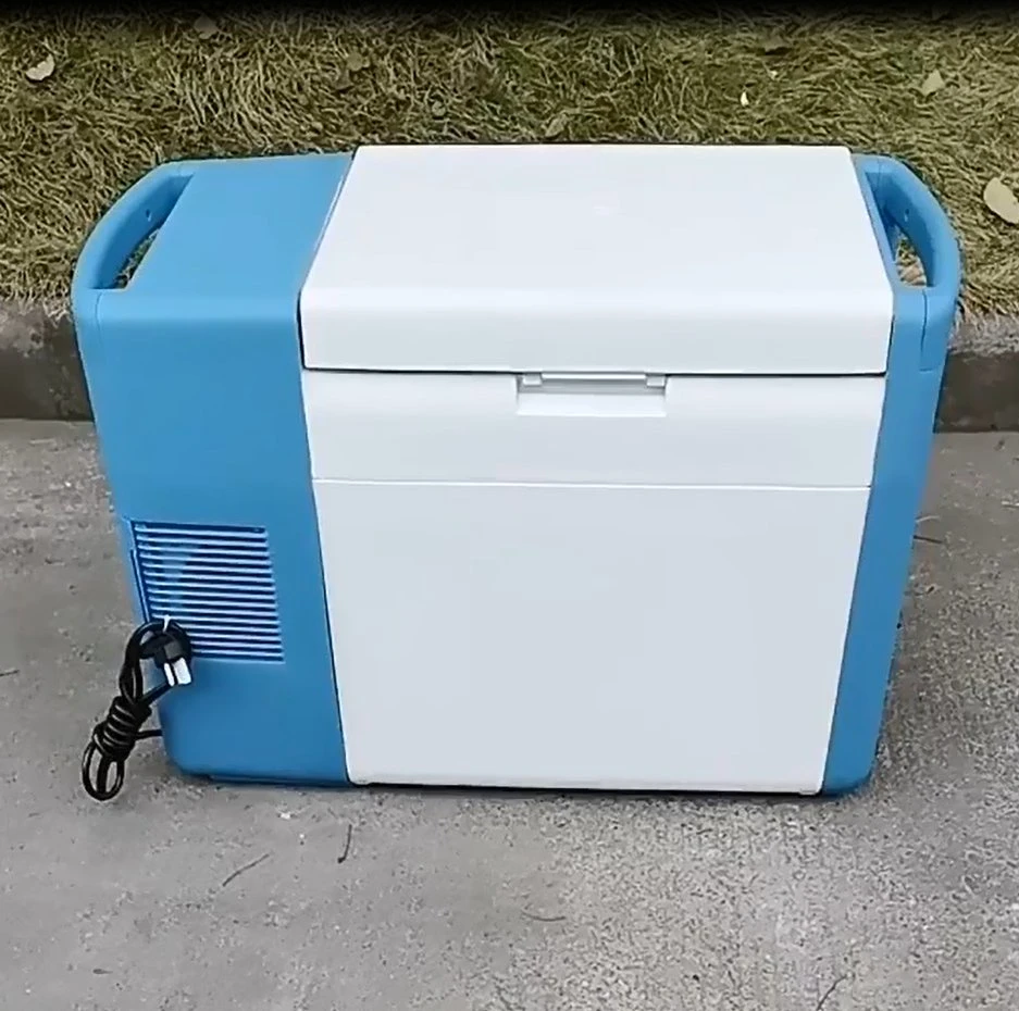 Minus 25 40 Degree 12V 220V Mini Portable Car Deep Freezer for Vaccine Transportation