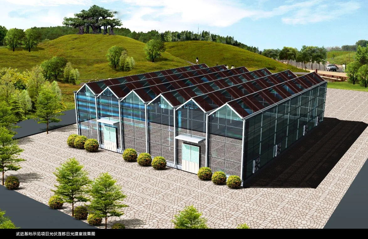 Syp Syp Intelligent Tropic Agriculture L Multi-Span Plastic/Polycarbonate Sheet PC/Glass/Greenhouse