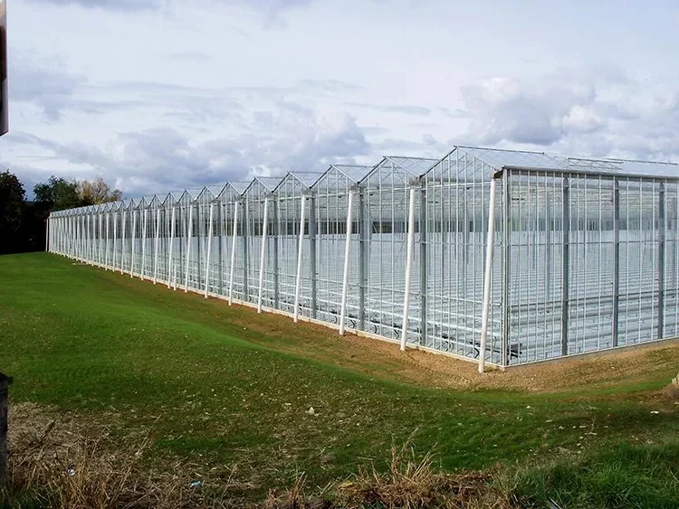 Solar Greenhouse Polycarbonat Panel Greenhouse Hochwertige Produkte für die landwirtschaftliche Bepflanzung