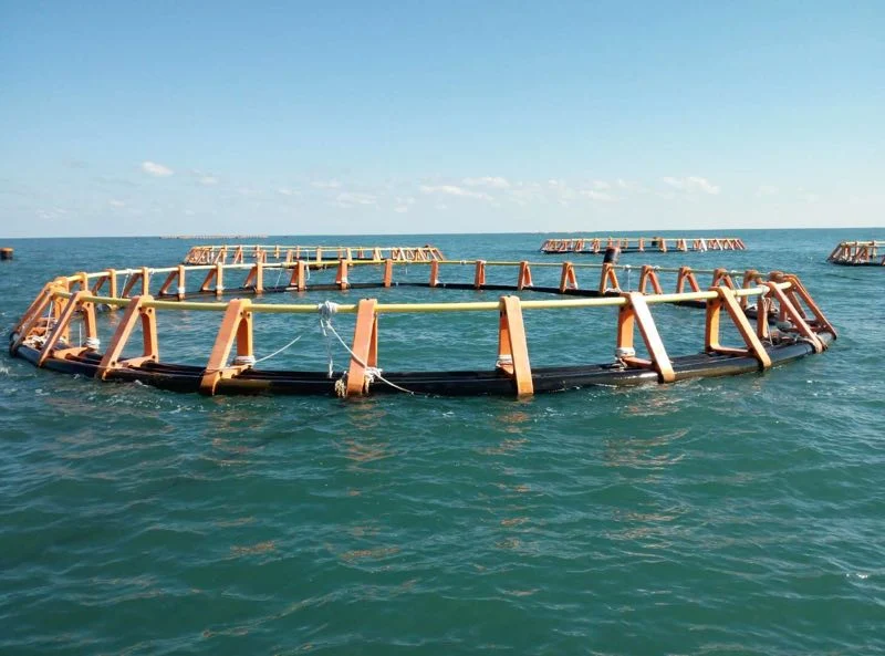 Piscifactoría de Mar profundo sistema de equipos de Agricultura flotante jaula